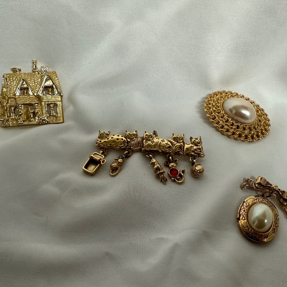Brooch pins and locket